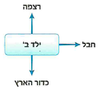 (בספר איור, היעזר במנחה)